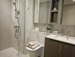 Lorong 8 Toa Payoh (D12), Condominium #457457231